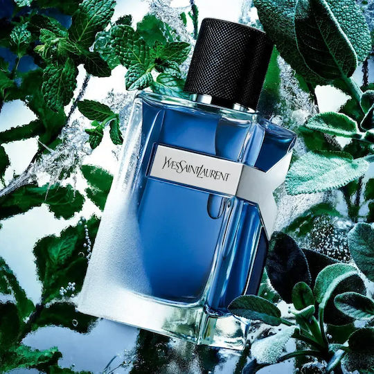 Ysl Y Iced Eau de Cologne 60ml