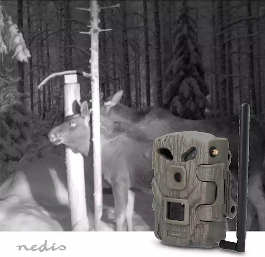 Nedis Hunting Camera with Motion Detection