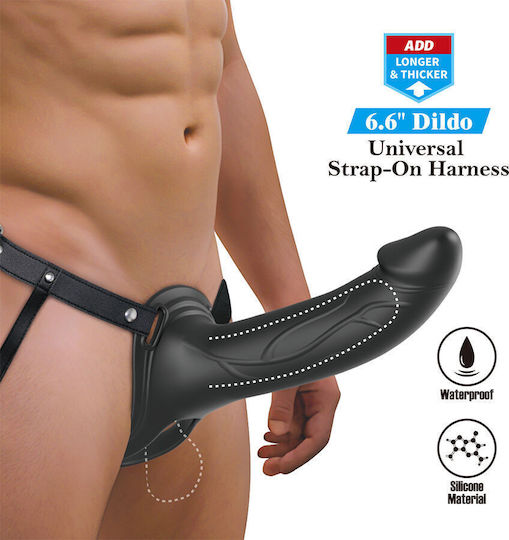 Pretty Love Landon Harness Briefs Black