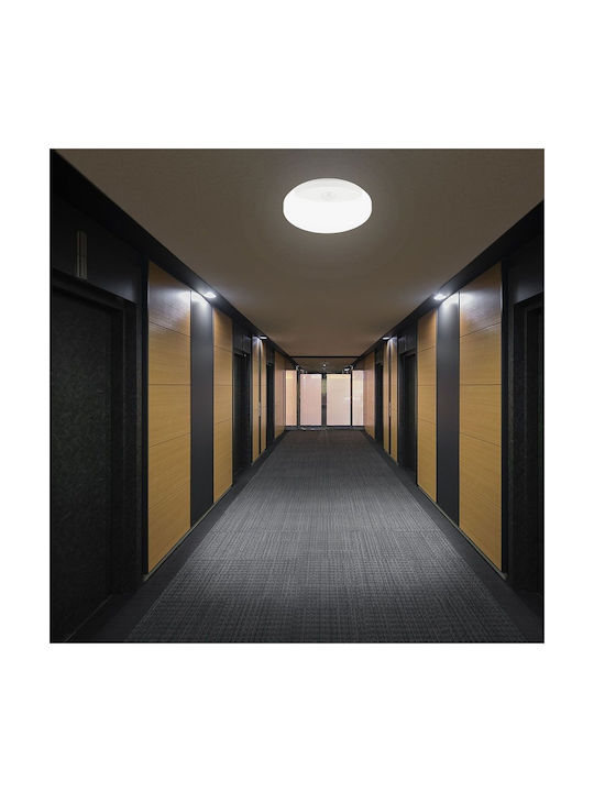 V-TAC Lampa De Perete Cu LED Integrat Și Lumină Albă Reglabilă