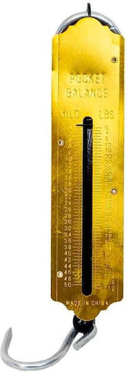 Hand Scale Max 50kg 31cm Metal Z-tools 161