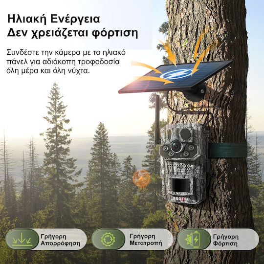 Sectec St-hc808 Jagdkamera Live Video Gps Solar Panel Landwirte Imker 3mp/ip66