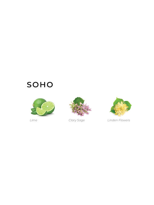 Αρωματικό Συσκευής Annatwelve Homae 120ml Soho