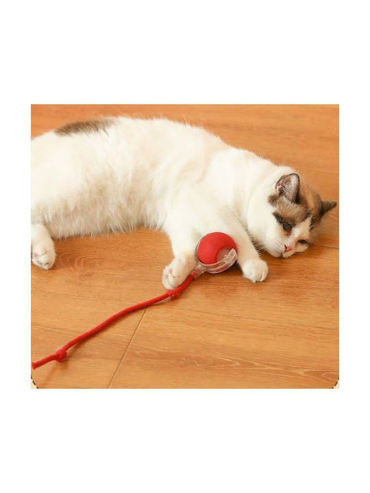 Interactive Ball Moves Alone LED & Cord Ball Diameter 6x7cm | Cord Diameter: 40cm