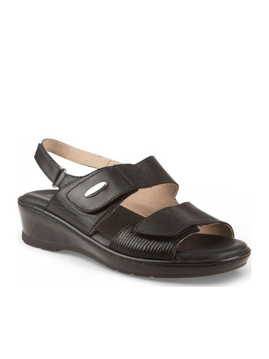 Air Anesis