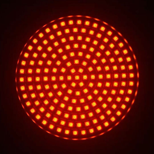 Ibiza Light Par Led Rgb 175 Leds Matrix