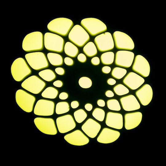 Ibiza Light Движеща Се Глава Gobo 30w RGB + Осветени Пръстени