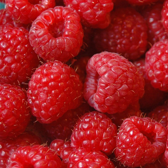 Fruttamax Fruttamax Erfrischungsgetränk Himbeere Konzentriert mit Kohlensäure in Flasche 500ml