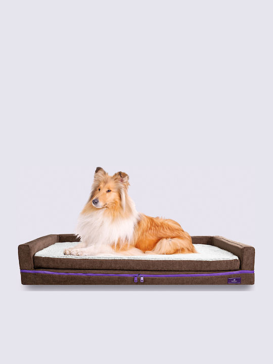 Orthopedic Dog Bed PetBed Memory Foam - Chocolate Brown Small with Freeze Technology