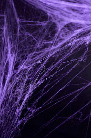 Purple Spider Web 60g