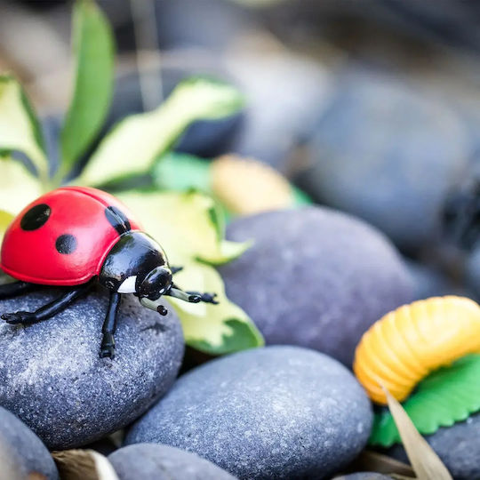 Safari Ltd Life Cycle of a Ladybug Εκπαιδευτικό Παιχνίδι Γνώσεων για 4+ Ετών