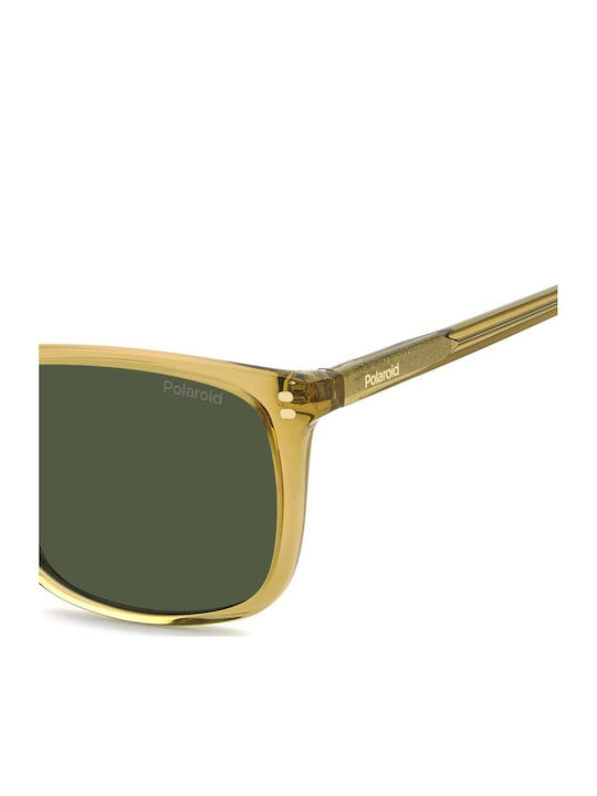Polaroid Unisex Sunglasses with Beige Horn-Rimmed Frame and Beige Lens PLD4202/S/X 10A/UC