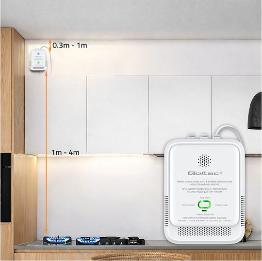 Natural Gas Carbon Monoxide Leak Sensor 2 In 1 Certified Qoltec Tuya Wi-fi 85db Alarm Led