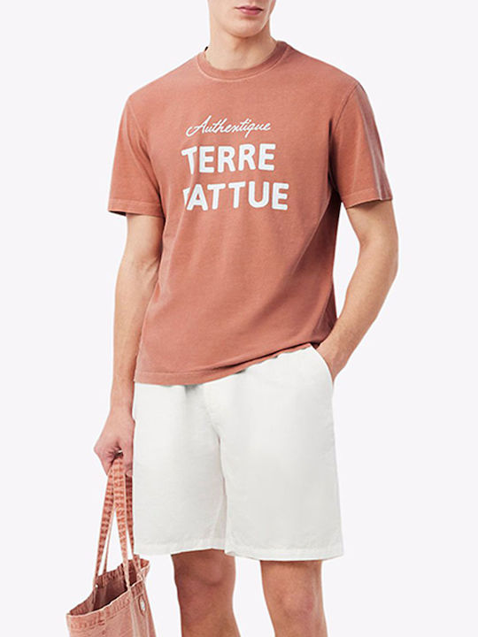 Lacoste Lacoste Herrenblusen Kurzarm T-Shirt Mischfarben Lacoste Lacoste Herrenblusen Kurzarm T-Shirt Mischfarben