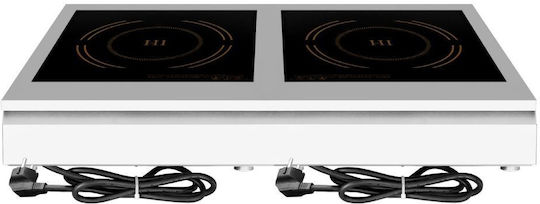 Dynamic Electric Inductive Burner 3.5kW