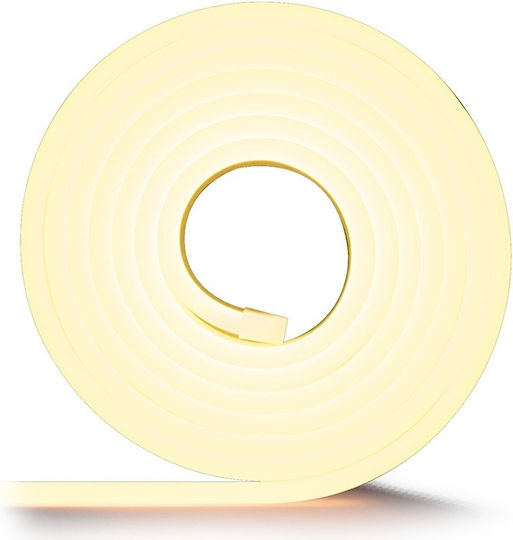 Ibiza Sound Bandă LED Impermeabilă 12V Lumină Alb Cald 5m Neon Flex