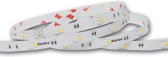 Kanlux Водоустойчива LED Лента 24V Неутрално бяло Светлина 48м Тип SMD3528