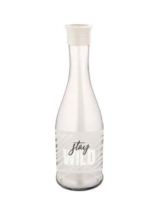 Raki Set Dozatoare Pentru Ulei Și Oțet Din Sticlă Cu Flux 1000ml