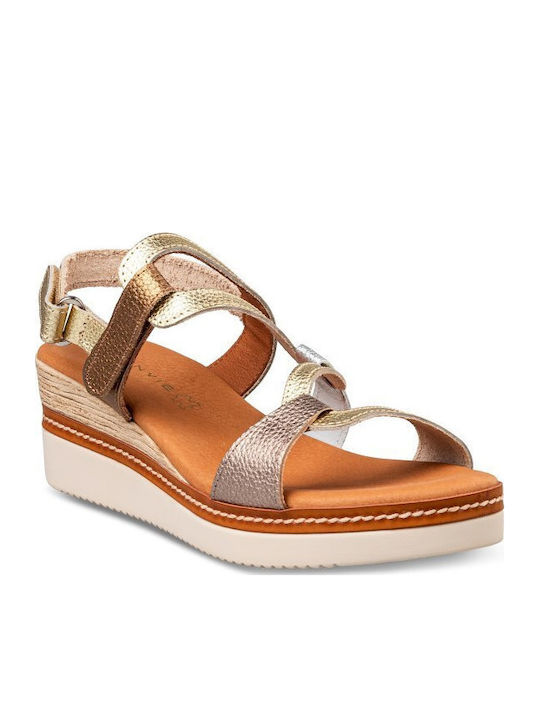 Envie Shoes