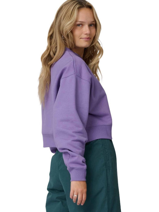 Santa Cruz Purple Sweatshirt