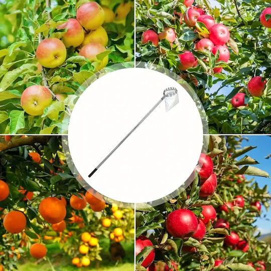 Telescopic Fruit Picker Zola 4 Interchangeable Heads 400 Cm Storage Bag Silver