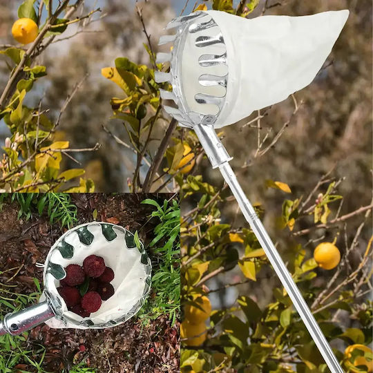 Telescopic Fruit Picker Zola 4 Interchangeable Heads 400 Cm Storage Bag Silver