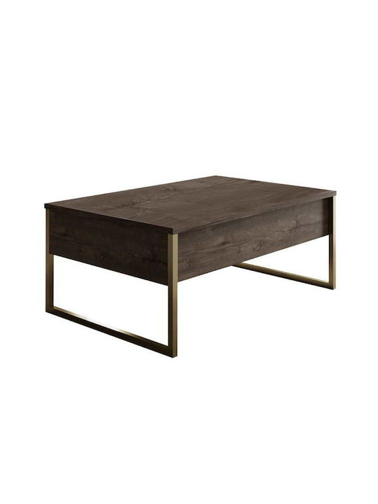 Rectangular Central Coffee Table Luxe Wooden Walnut - Gold M90xW60xH40cm