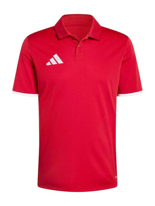 adidas adidas
