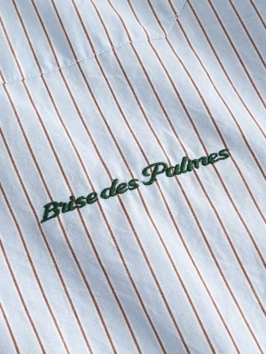 Short Sleeve Cotton Shirt in Regular Fit Striped Brown