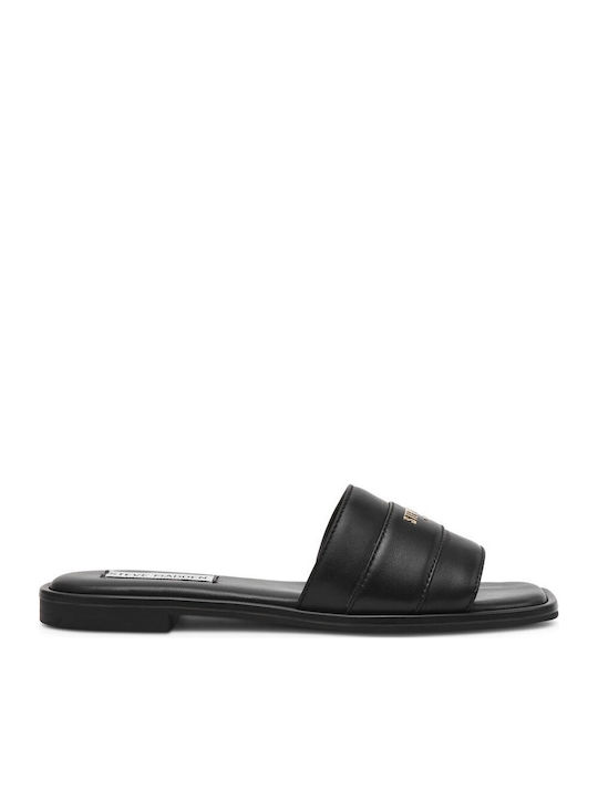 Steve Madden Steve Madden