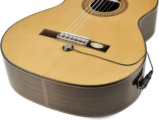Td10cj Boston Transducer Pickup