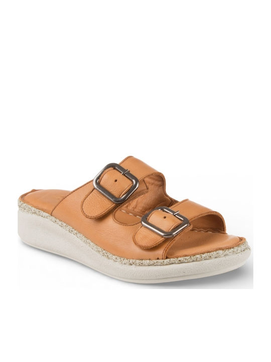 Air Anesis