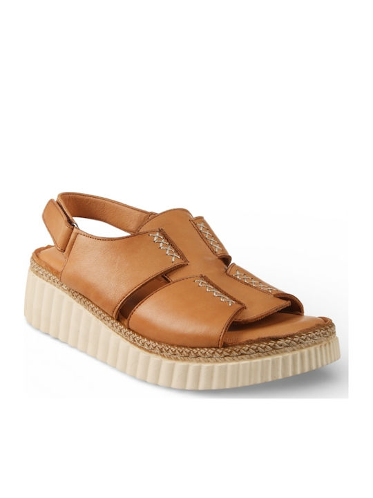 Air Anesis