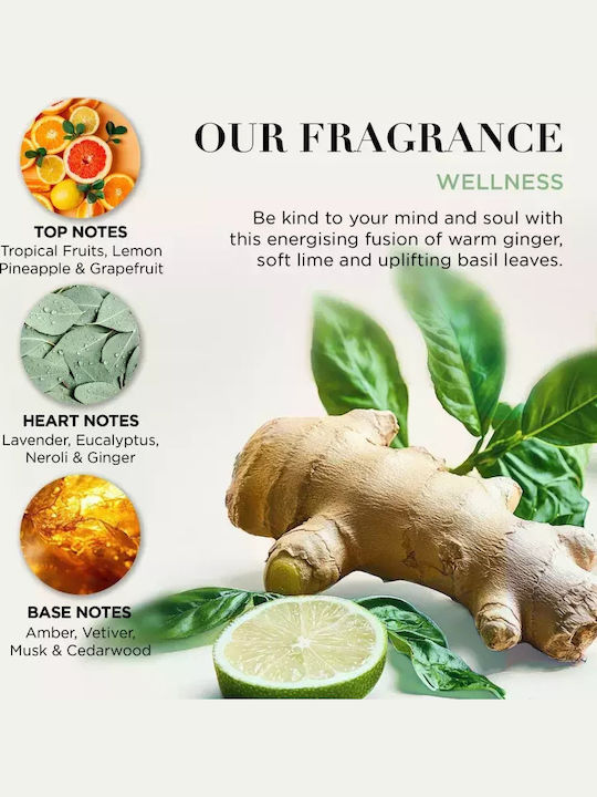 Baylis & Harding Lime & Basil Leaf Baylis & Harding Wellness Body Σετ Περιποίησης 4τμχ