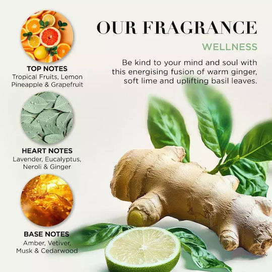 Baylis & Harding Lime & Basil Leaf Baylis & Harding Wellness Körperpflege-Set 4 Stück