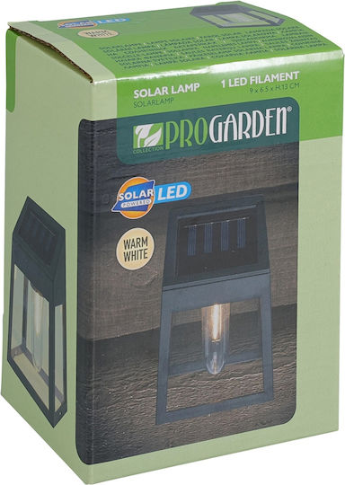 Wall Mounted Solar Light Warm White with Photocell 9x65x13cm