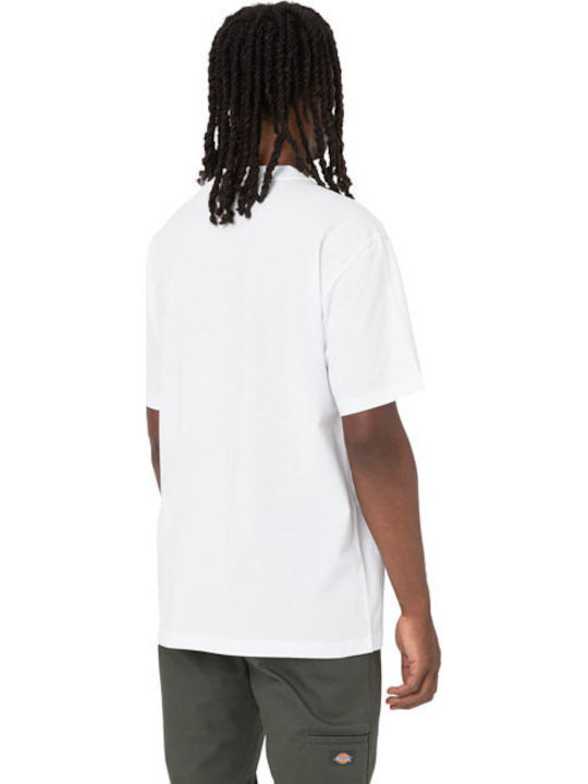 Dickies Dickies
