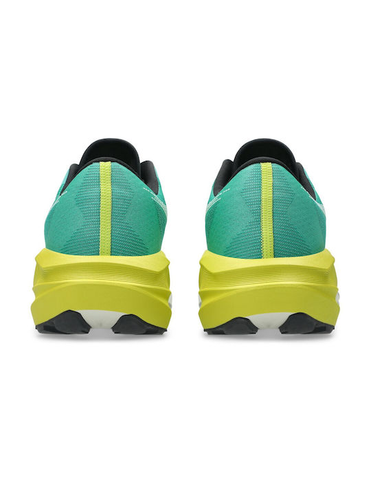 Novablast 5 Tr Men's Sport Shoes Training Novablast 5 Tr 1011c217300