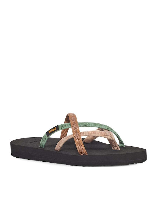 Teva