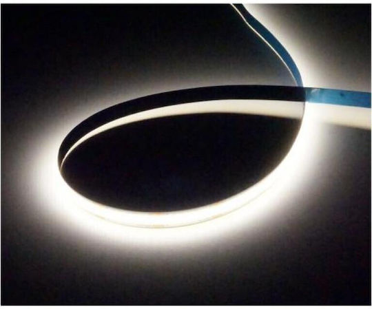 Eco Light Ταινία LED 12V Φυσικό Λευκό Φως 5m Τύπου COB