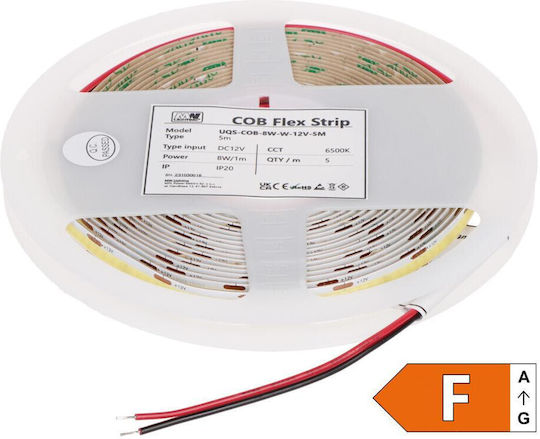 LED Strip 12V 5m Type COB