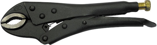 Proline Alică Curbată Lungime 250mm