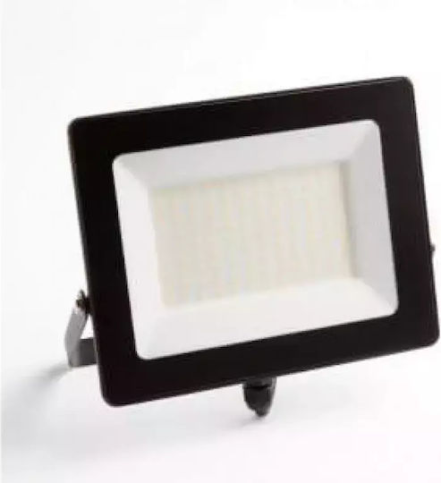 Eco Light Στεγανός Προβολέας LED 100W Ψυχρό Λευκό 6500K με Αισθητήρα Κίνησης IP65