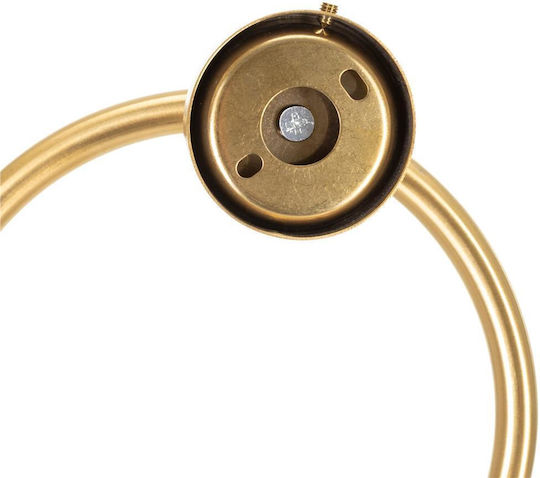 Einzelner Badezimmerhaken mit Schrauben Gold