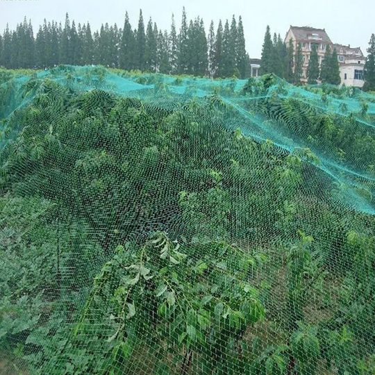 Мрежа За Отблъскване На Птици 2x5m
