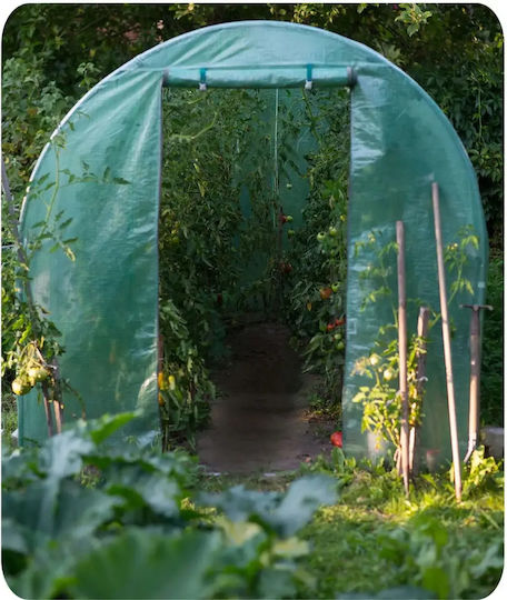 Seră De Grădină 2.5 X 4 M 10 M2 Plonos