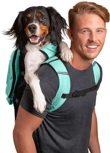 K9 Sport Sack Σακίδιο Πλάτης για Μεταφορά Σκύλου Πράσινο