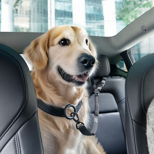 Spigen Ps100 Universeller Hunde Auto Reisezubehör Sitz Gürtelhalter Schwarz