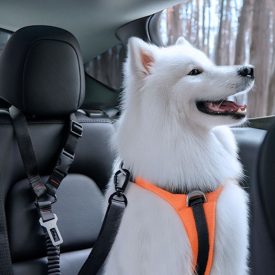 Spigen Ps100 Universeller Hunde Auto Reisezubehör Sitz Gürtelhalter Schwarz