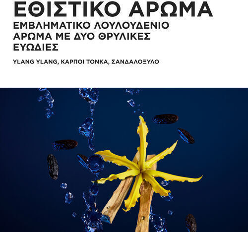 Kérastase Nutritive Σετ Περιποίησης & Styling Μαλλιών Αναδόμησης & Θρέψης για Ξηρά Μαλλιά με Σαμπουάν, Conditioner & Θερμοπροστασία 3τμχ